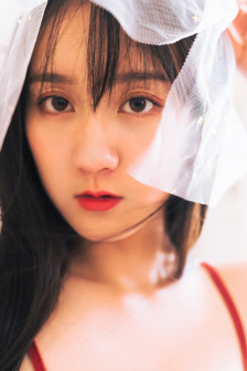 霍顿奇遇记经典台词